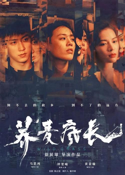 义安理工学院成绩单电子图